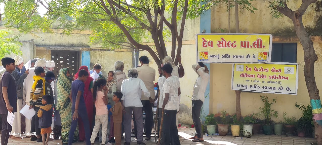 CSR Activity of Dev Wetland